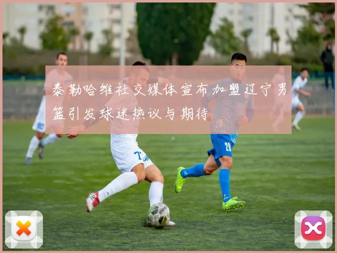 泰勒哈维社交媒体宣布加盟辽宁男篮引发球迷热议与期待