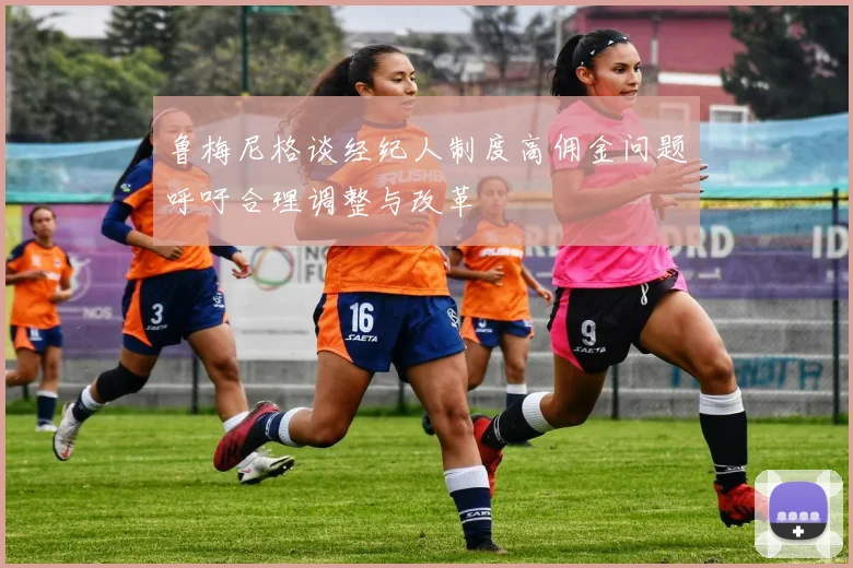 鲁梅尼格谈经纪人制度高佣金问题呼吁合理调整与改革