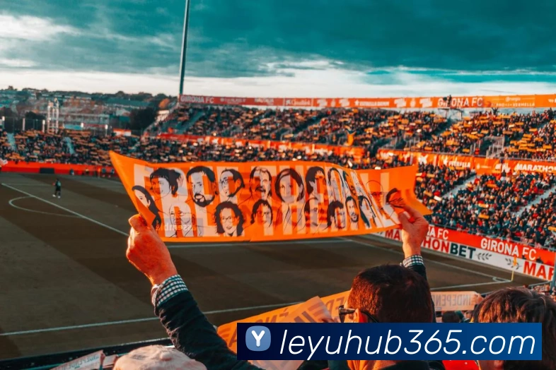 乐鱼体育服务体系